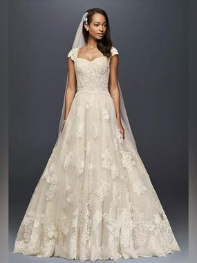 Oleg Cassini NWT Lace Cap Sleeve Ball Gown Wedding Dress Ivory Champagne 18W